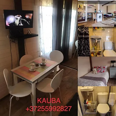Kauba 26